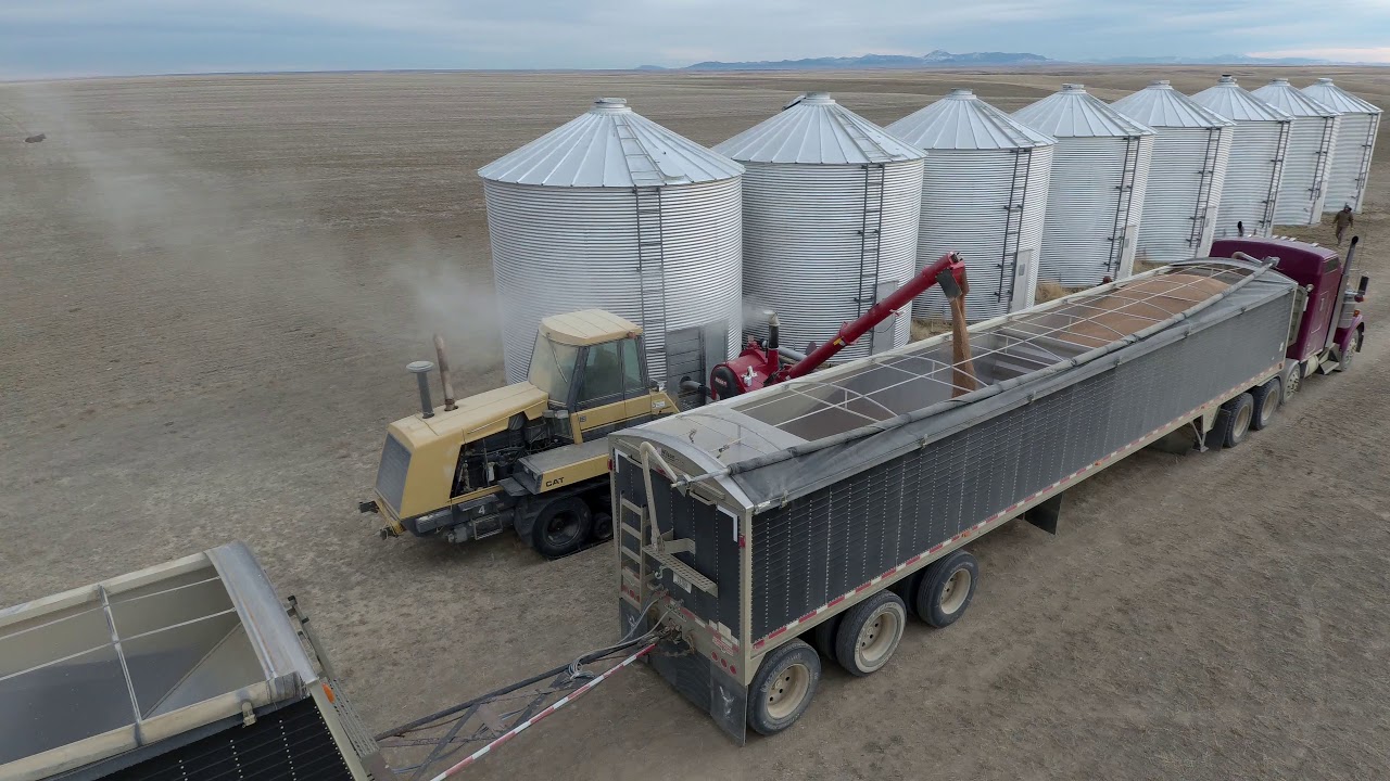 Hauling Grain