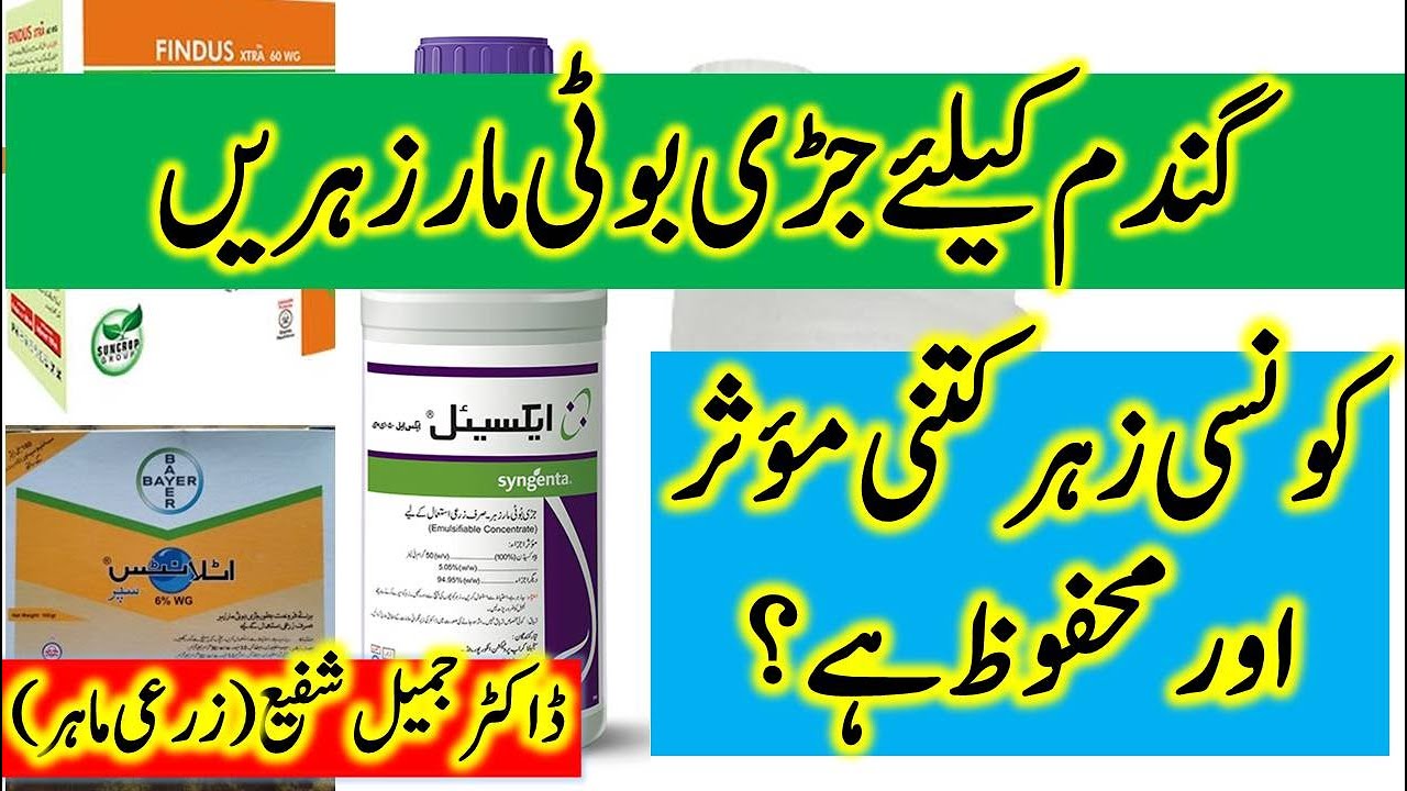Selection of safe and suitable weedicide for wheat crop || گندم کیلئے  جڑی بوٹی مار زہریں