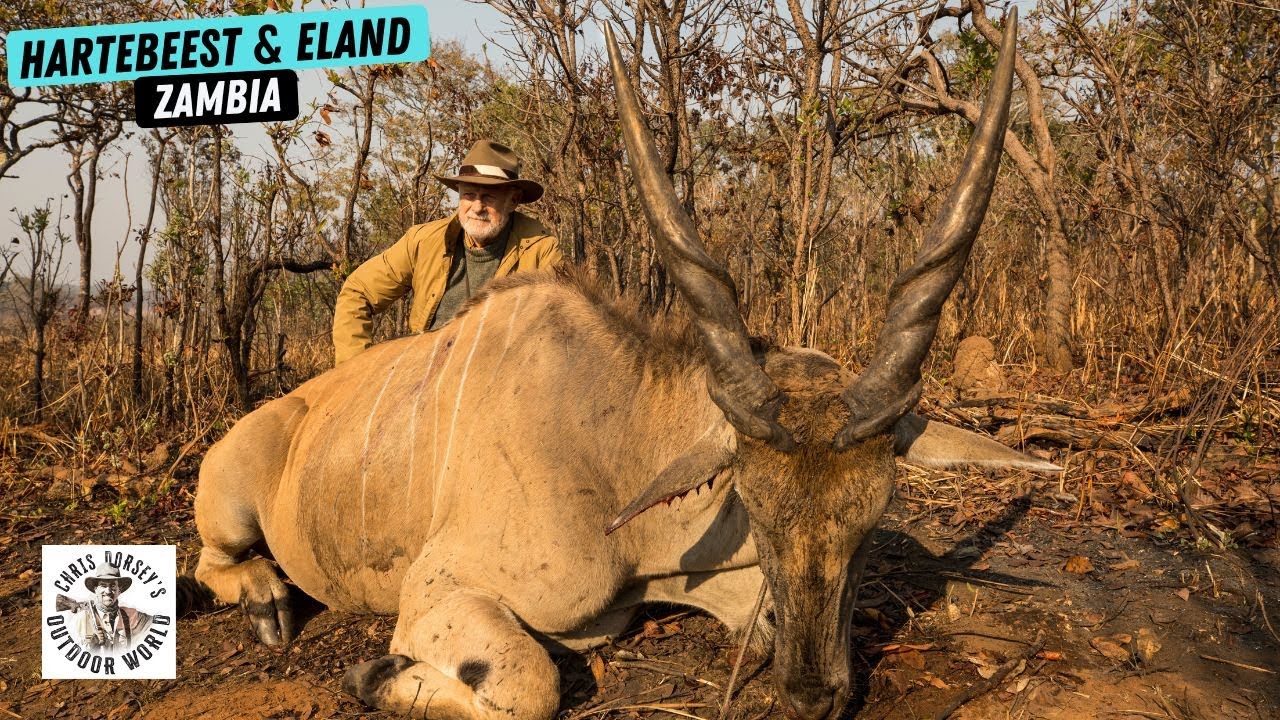 Gerald McRaney hunts Hartebeest & Eland in Zambia