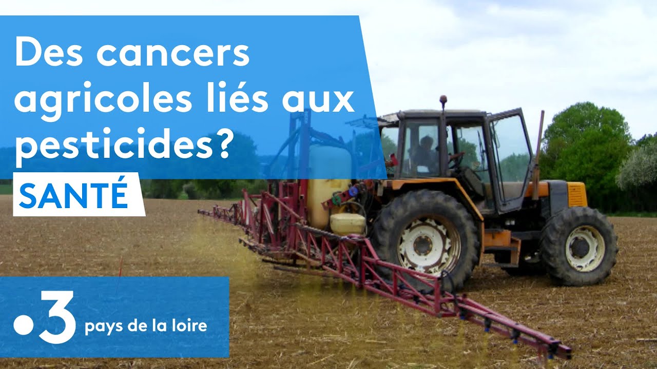Des cancers agricoles liés aux pesticides ?