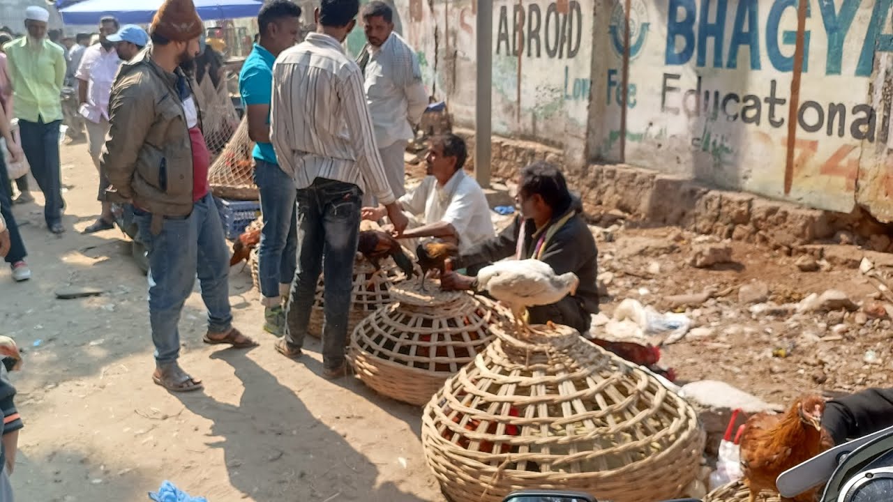 Erragadda Sunday pets and bird market Hyderabad Telangana 21/12/2025