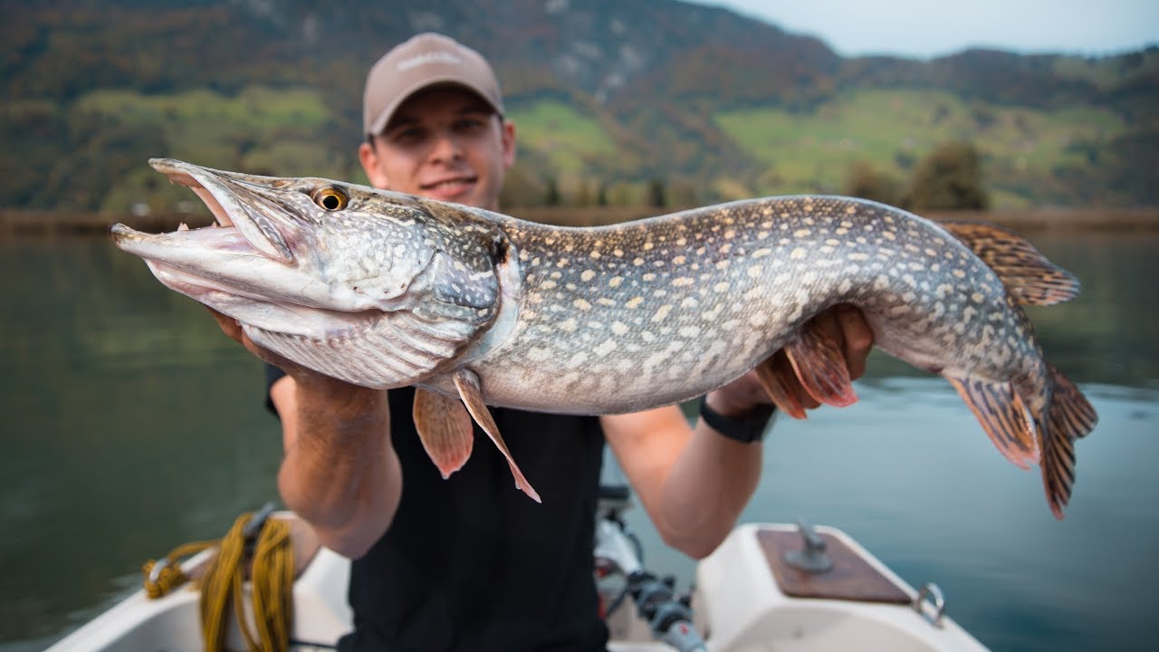 GROSSHECHT im Visier / Herbstliches Hecht Fischen 4K / Swiss Fishing Team
