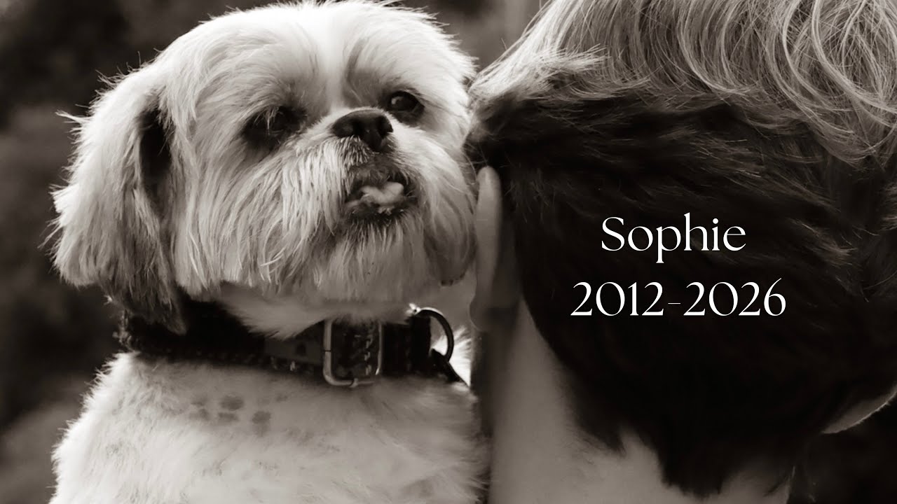 Saying Goodbye To Sophie | Nicolas Fairford