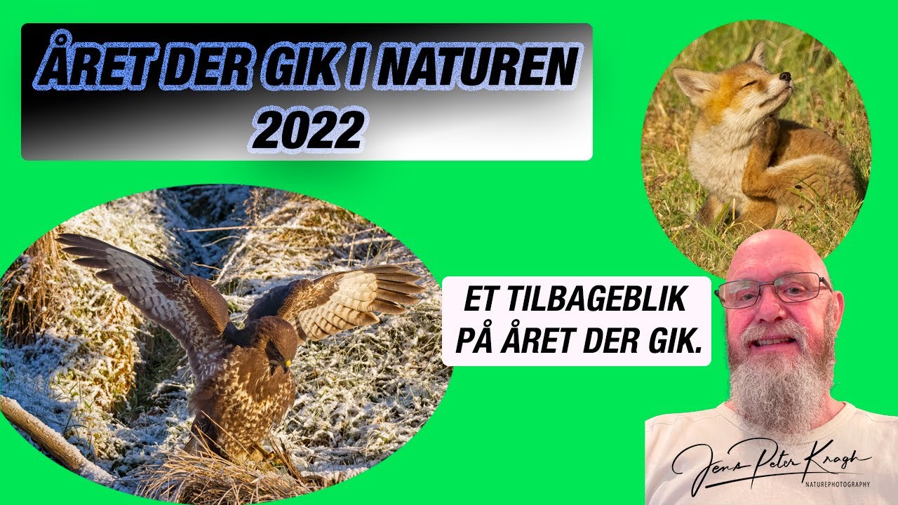 Året der gik 2022 // Dansk naturfilm // året der gik i naturen.