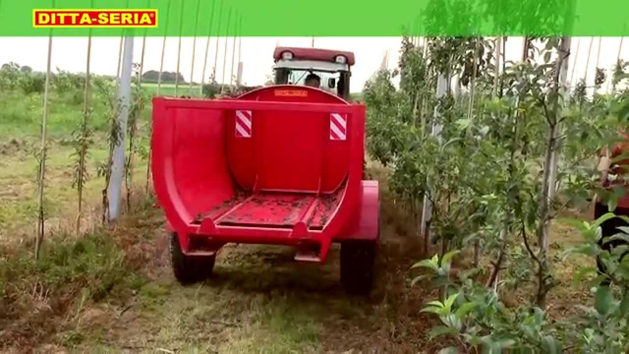 rozrzutnik DITTA-SERIA