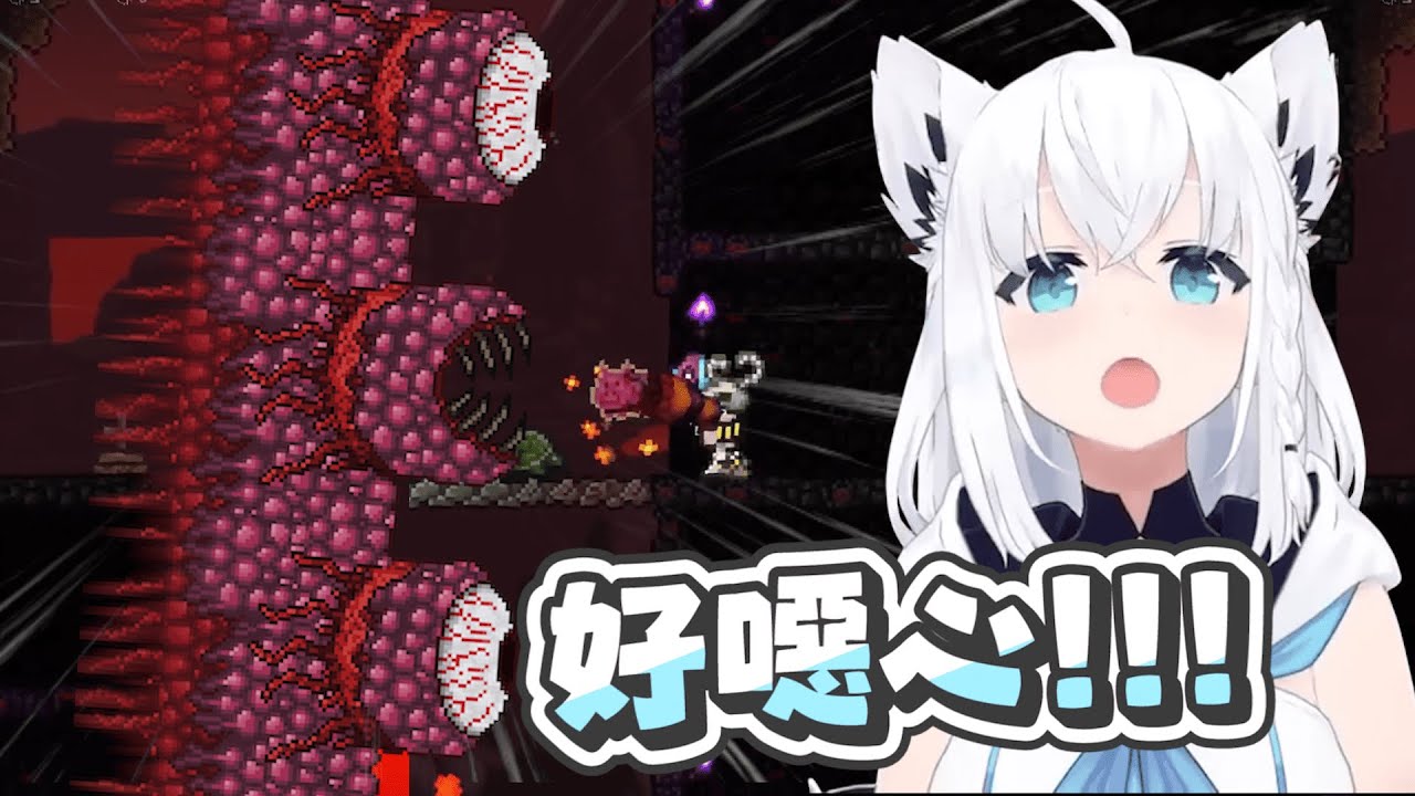 【Terraria】佩克醬有時候就是會這樣｜【 hololive / 白上吹雪】