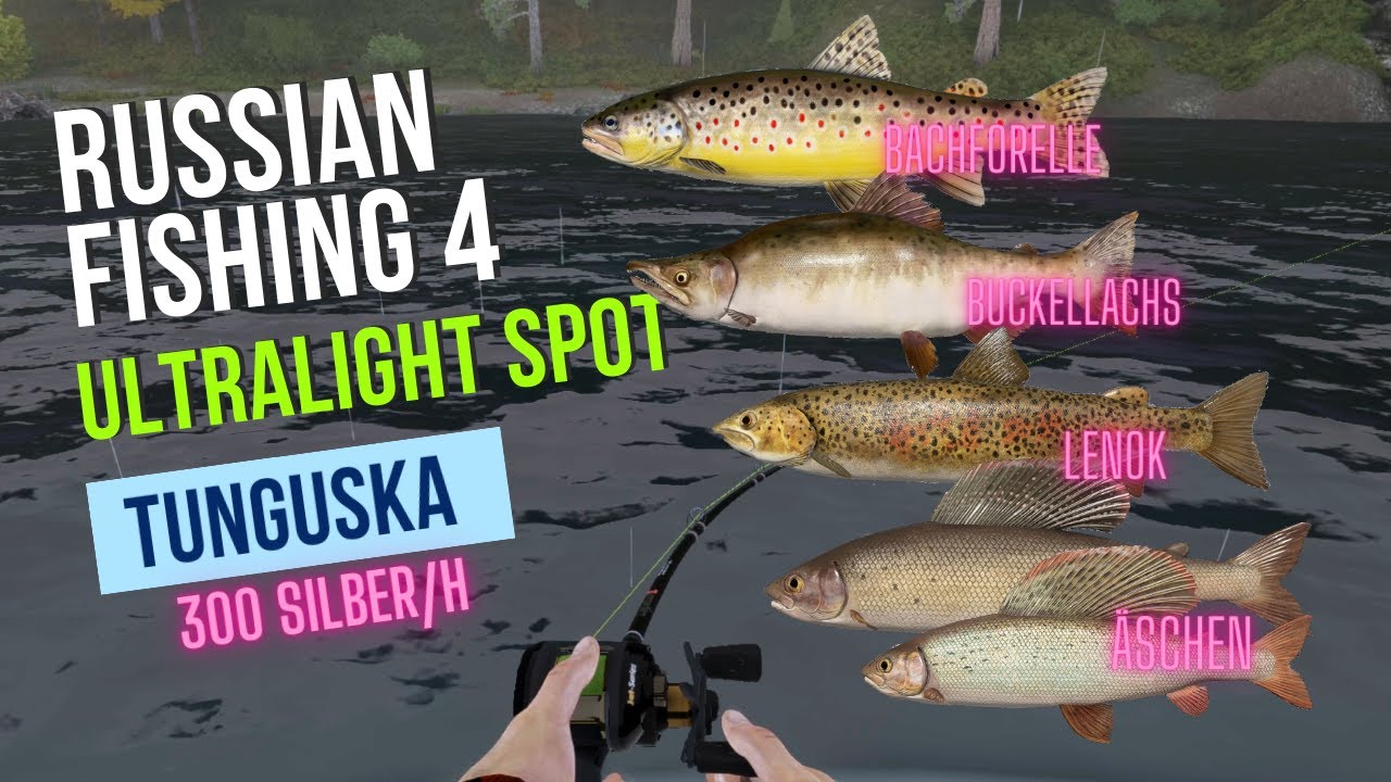 Russian Fishing 4  - UL Spot für Bachforelle, Äschen, Lenok und Buckellachse | Untere Tunguska