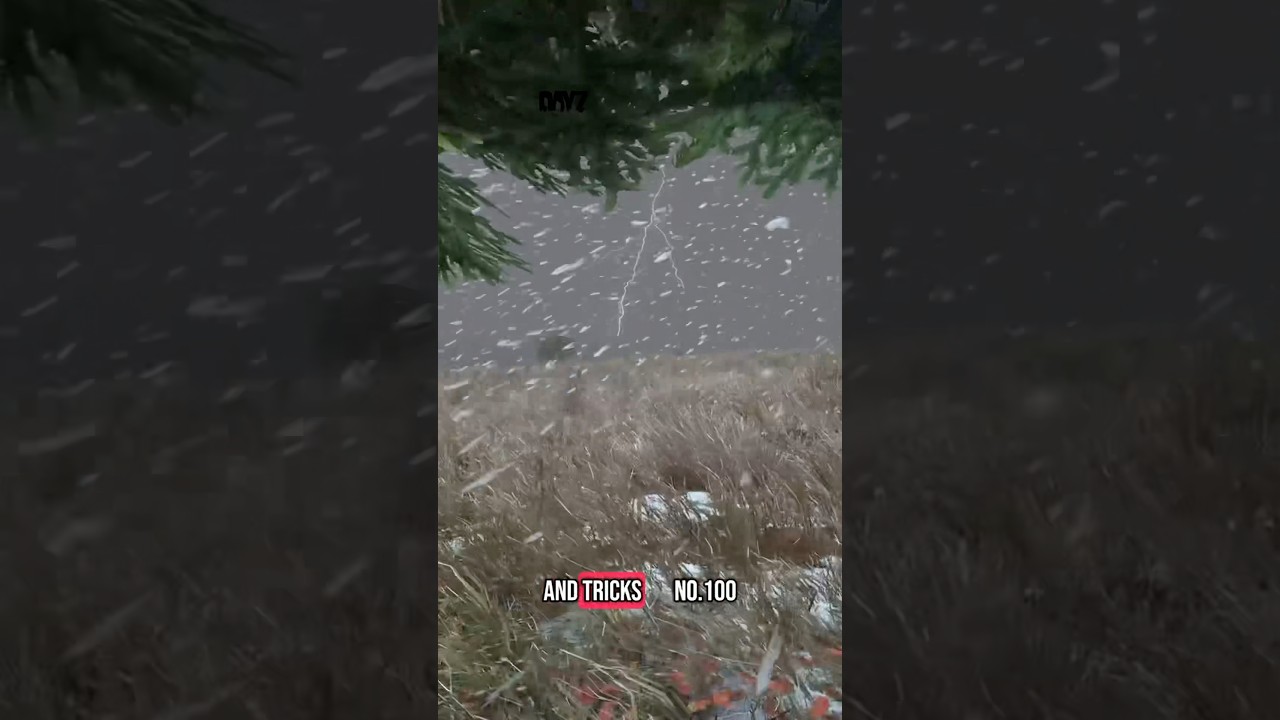 DayZ Tips and Tricks number 100 #tips #official #tent #shelter #stick #diy #dayz #tutorial