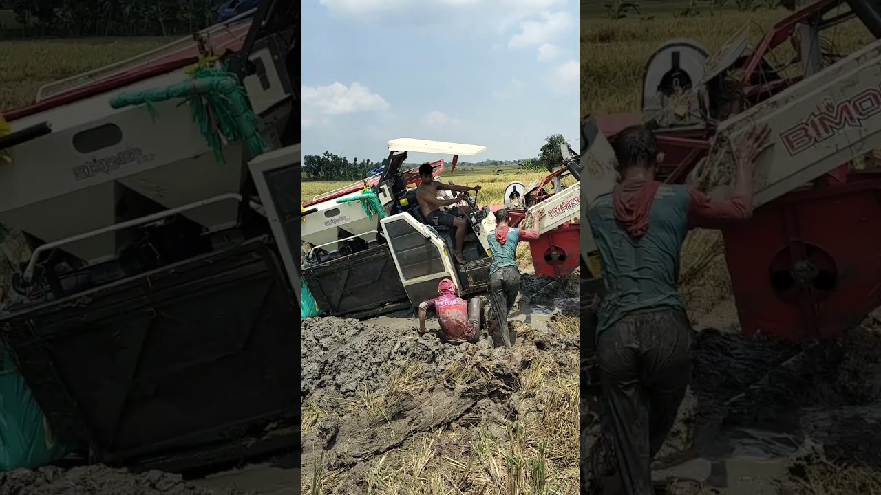 aksi nekad dan berbahaya kombi sawah #combi #kombi #traktor