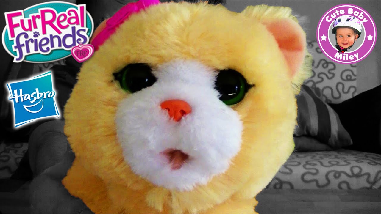 Fur Real Friends Katze Bouncing Kitty unboxing und Test + unsere Katzen - Kinderkanal