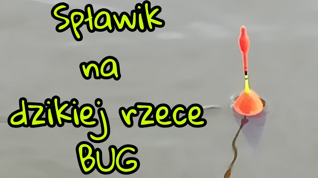 Spławik na dzikiej rzece Bug, jak skutecznie łowić . Wild river