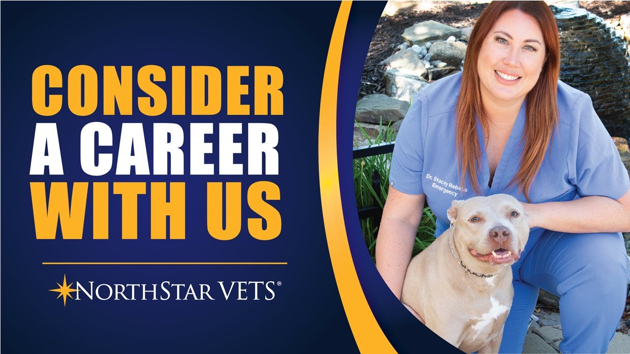 Consider a career at NorthStar VETS