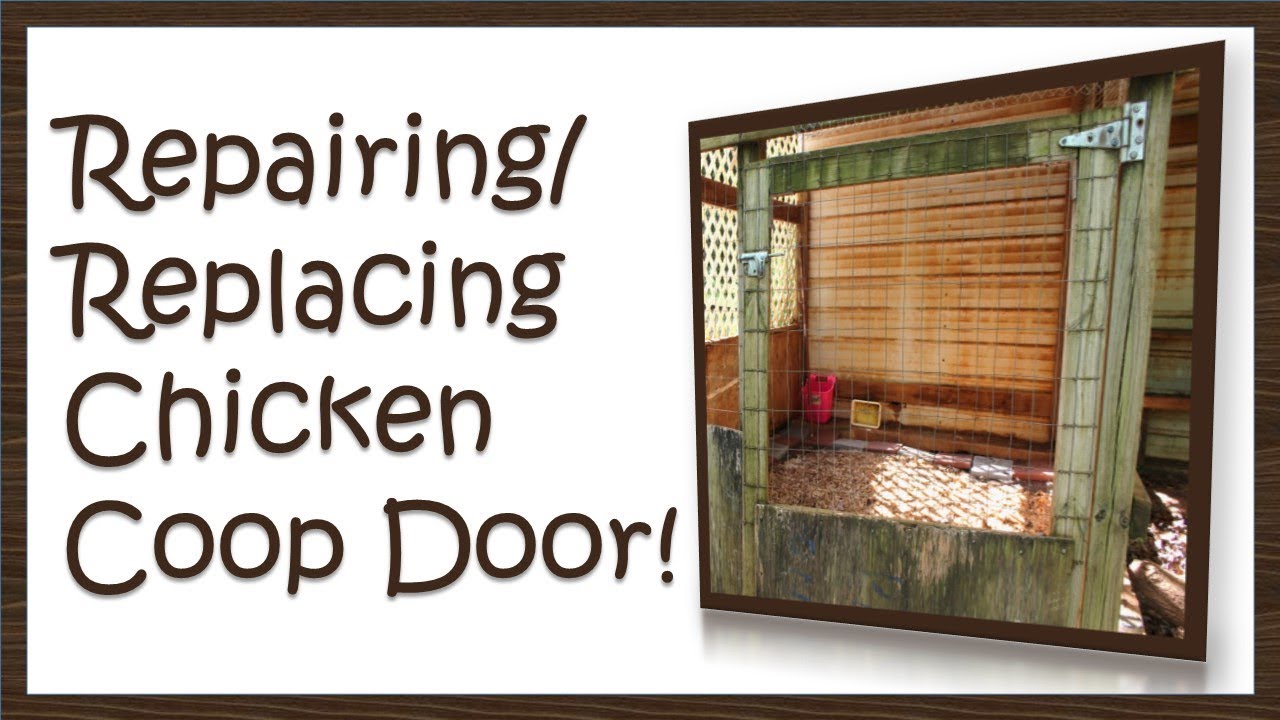 Repair / Replace CHICKEN COOP Door...