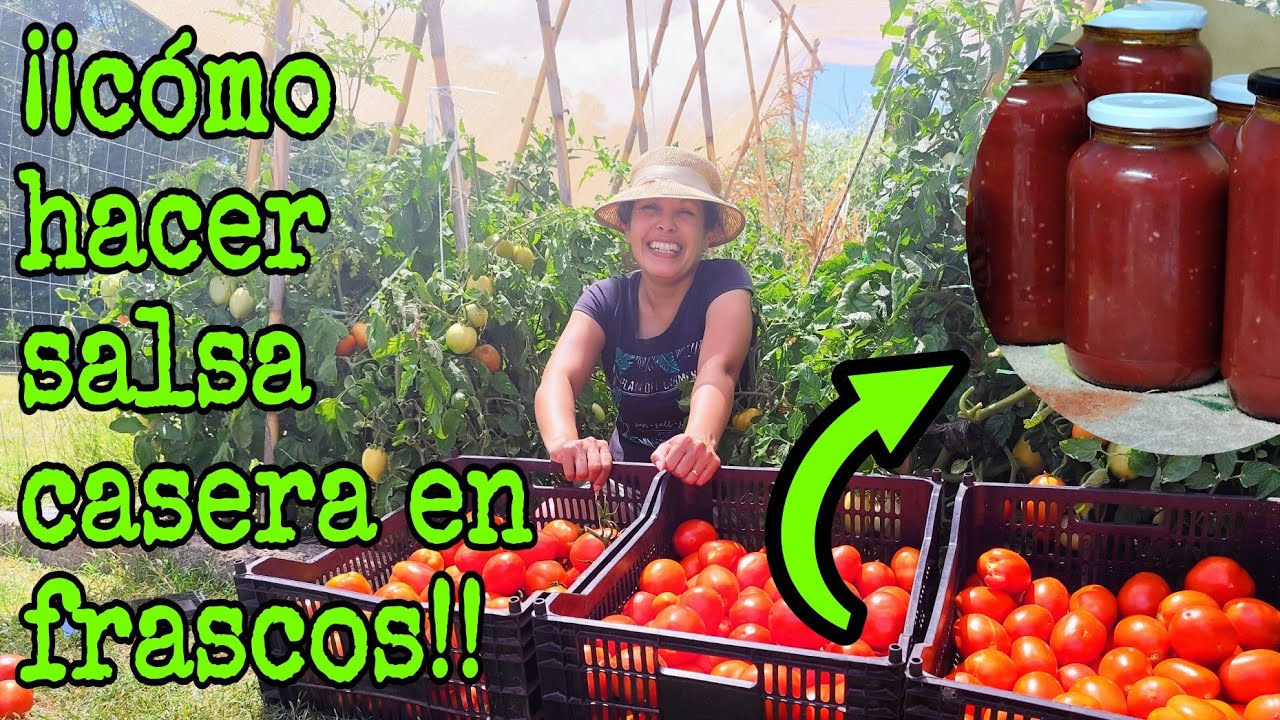 como hacer salsa de tomate en conserva paso a paso