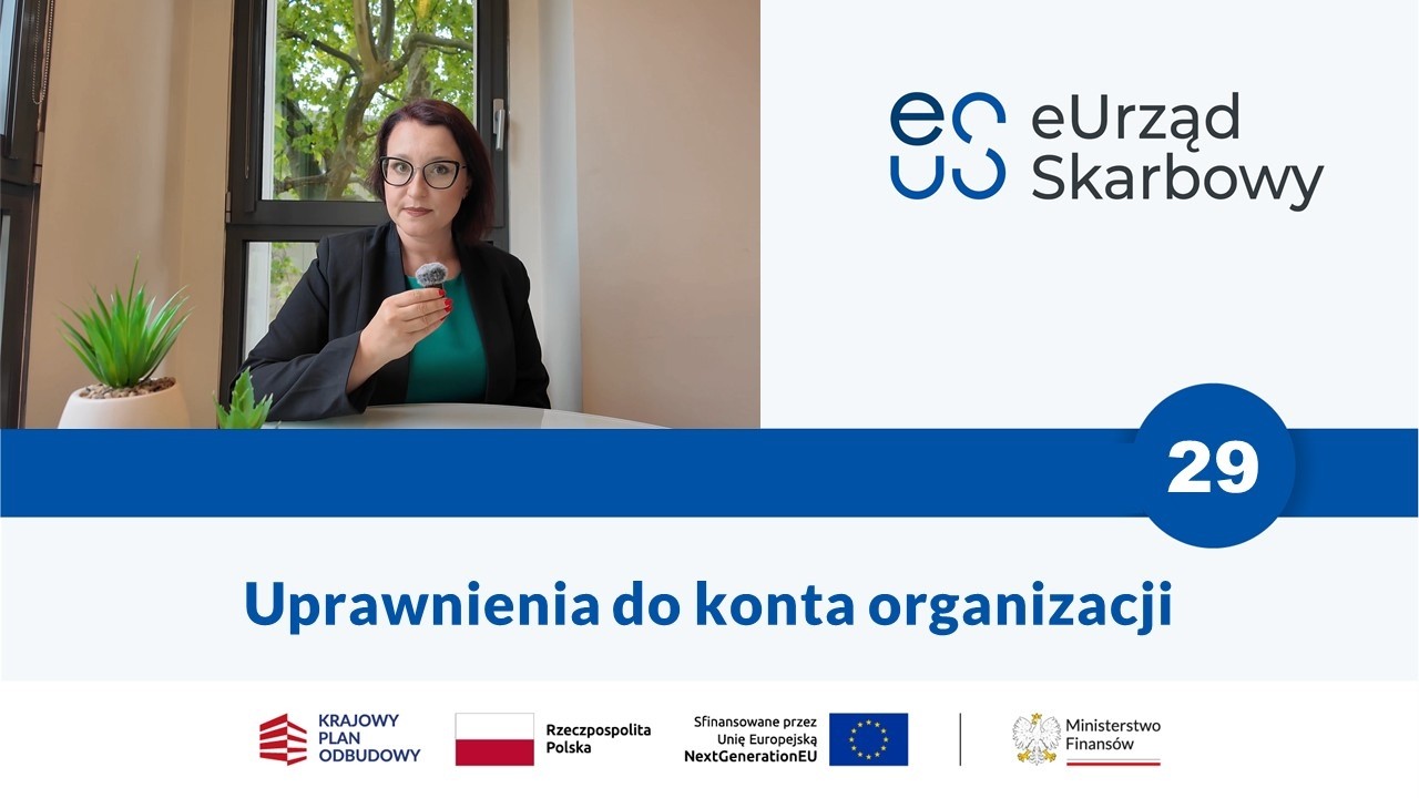 Services in the e-Tax Office | 29 Organization account permissions
