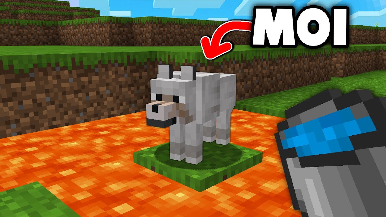 J'ai Secrètement infiltré son serveur en me Transformant en Mobs..