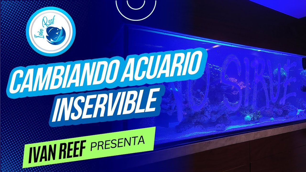 ASI cambiamos este acuario Marino INSERVIBLE de 1000L