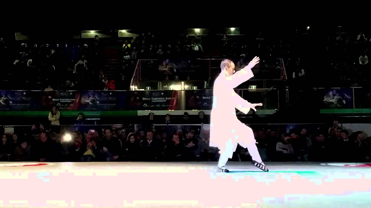 Sifu Vincent Lyn
