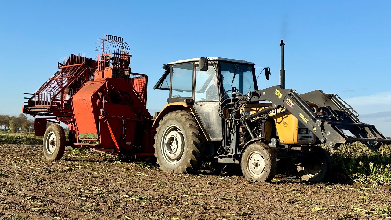 🔥Ostatni raz Neptun na kanale!🔥Kopanie buraków 2025🔥Ursus C-360 3p& Zetor Proxima 8441🔥