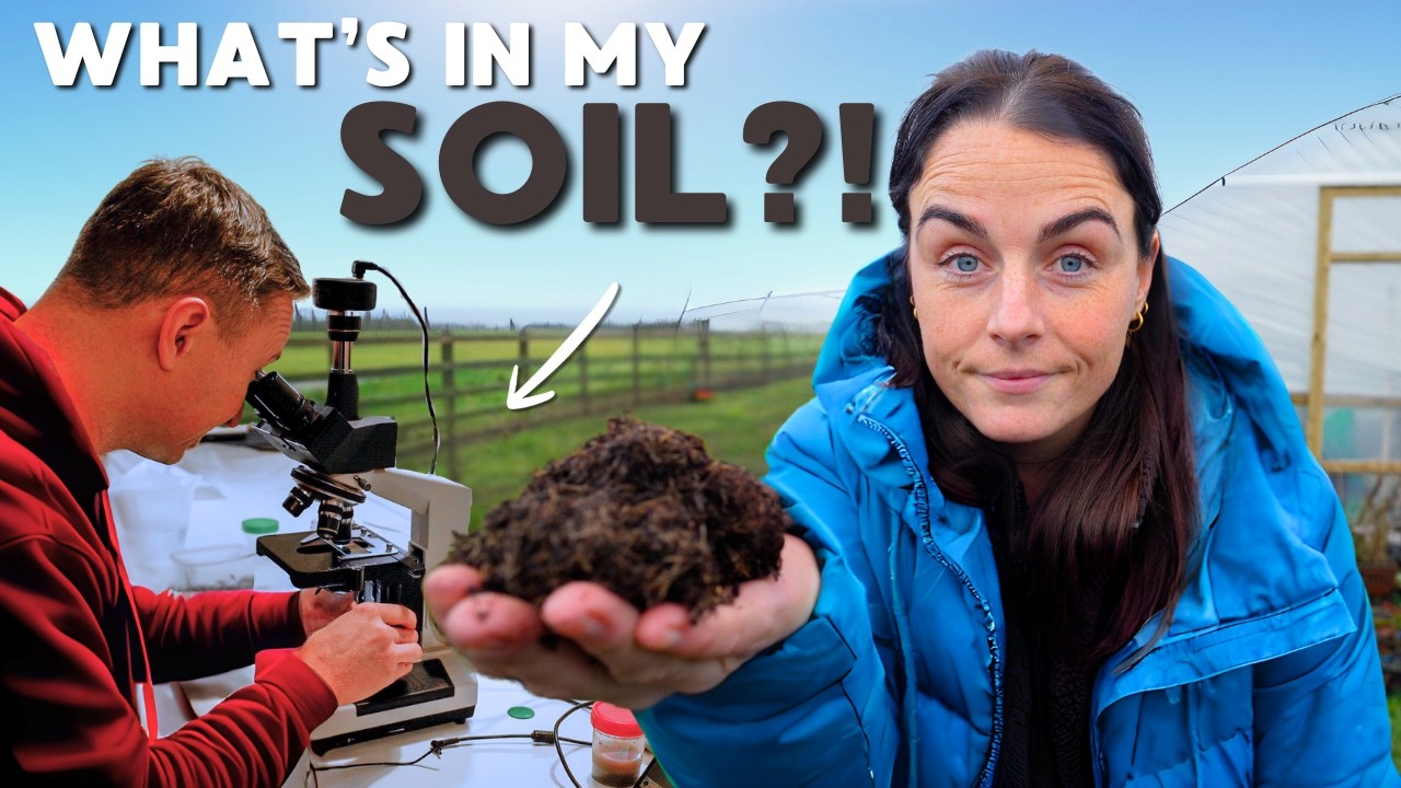 I Took My Soil to an Expert — Here’s What He Found