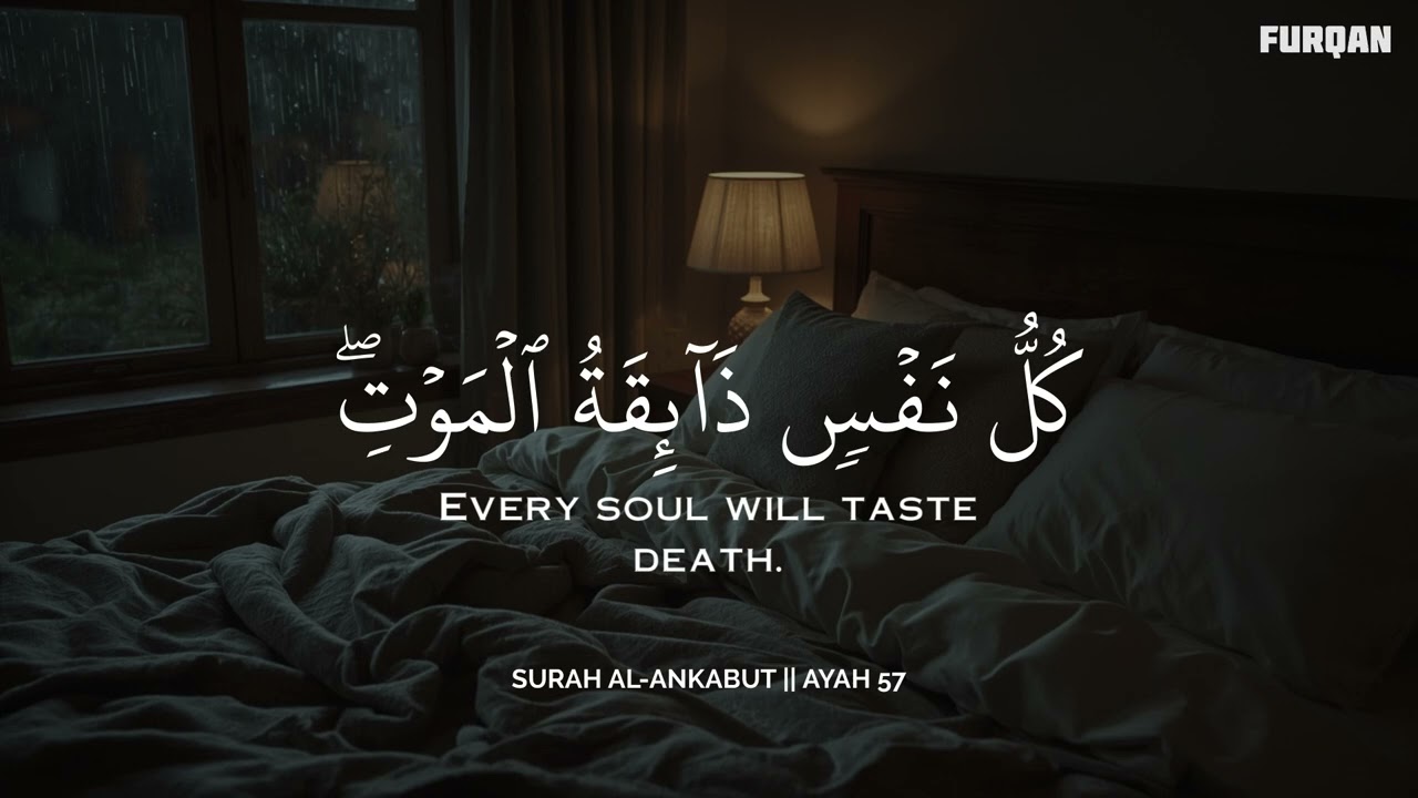 أرح سمعك.. تلاوة هادئة تريح القلب والعقل🩷😴 | ساعة كاملة🕛🎧 القارئ محمد هشام | Mohamed Hesham