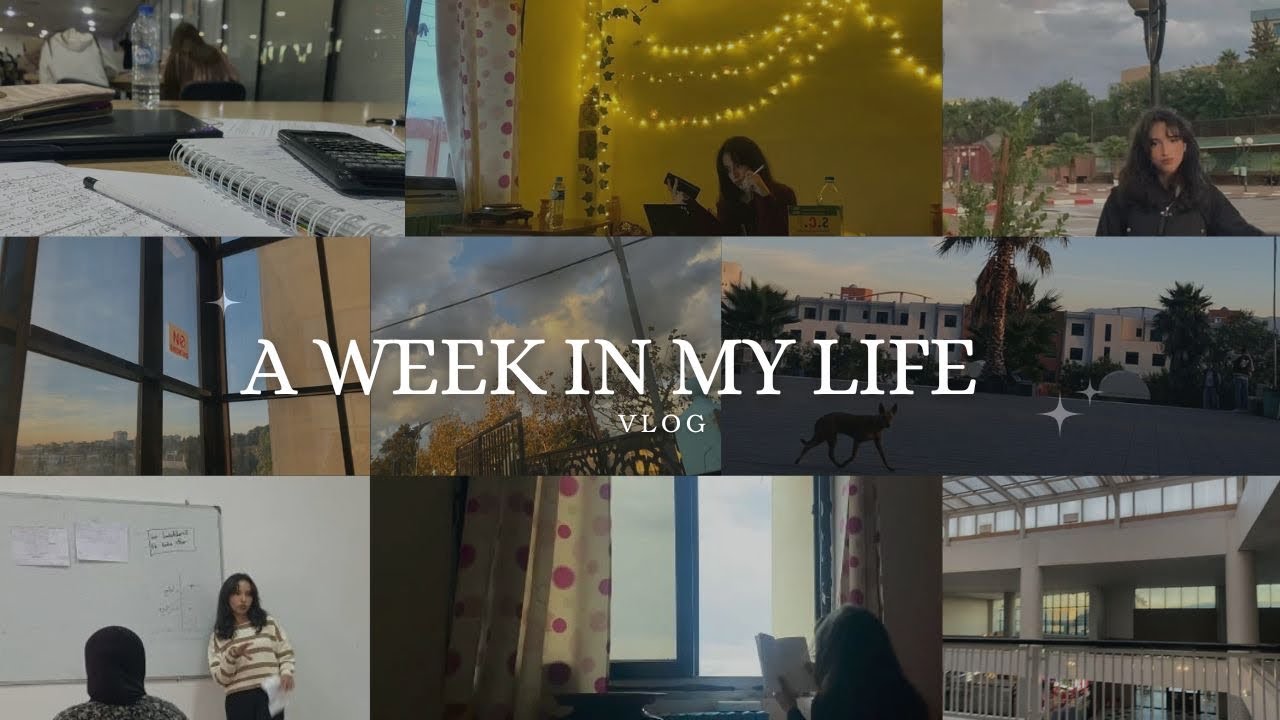 My Daily Routine as a Business Student | How I Stay Productive & Motivated