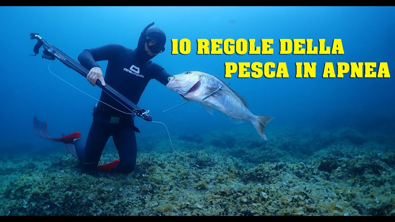 Le prime 10 regole della pesca in apnea 