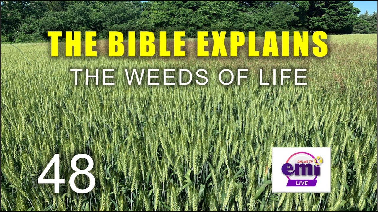 THE BIBLE EXPLAINS (Series 48)