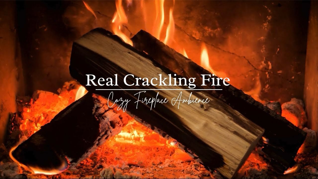 Real Crackling Fire 🔥 3+ hrs of Authentic and Cozy Fireplace Ambience for Calm and Relaxation 