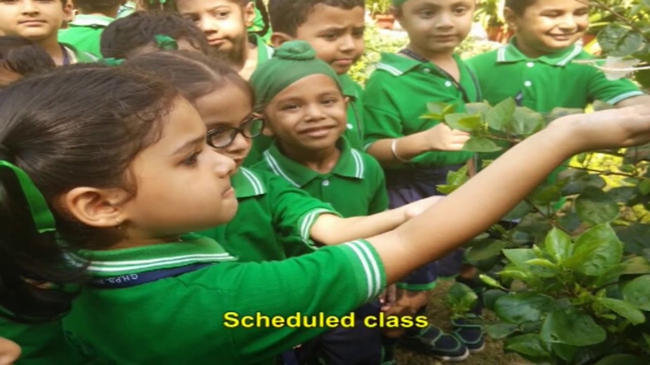 Intervention and Teaching Strategies ...Module 16 Organizing Field Trips