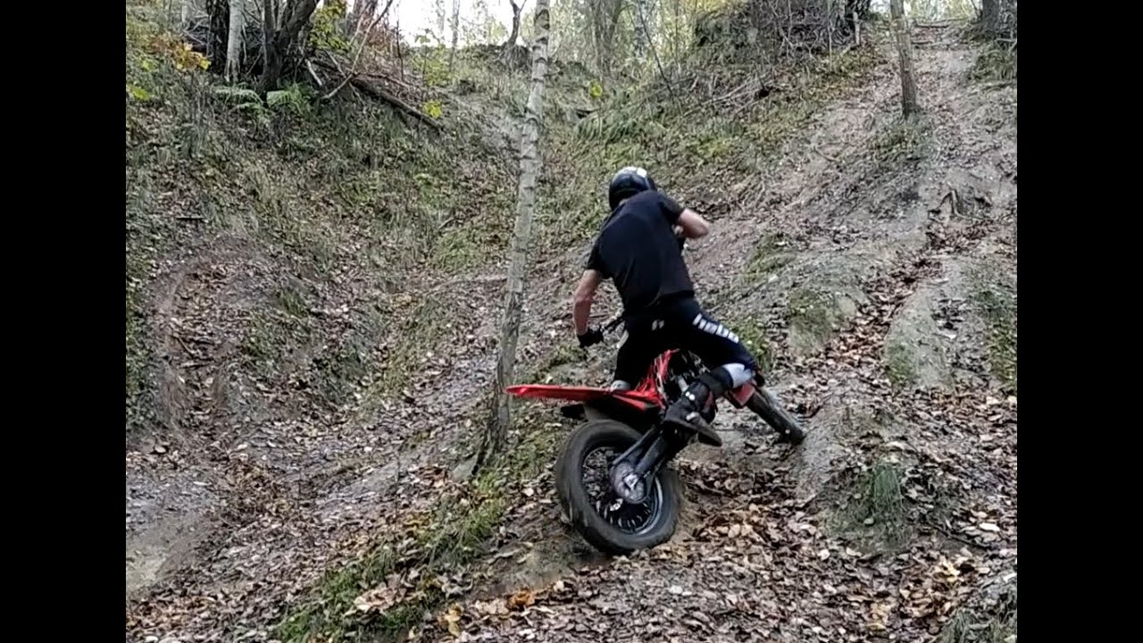 Trial Training November 2024