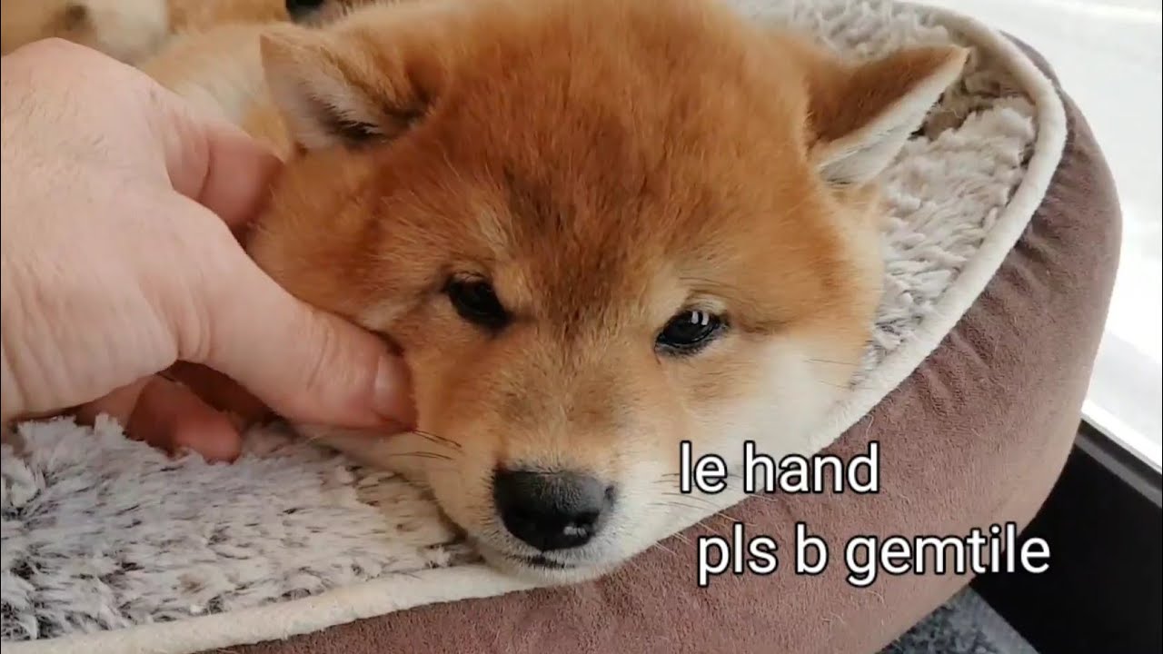 Soft pinch omkeh, Squishy not omkeh.