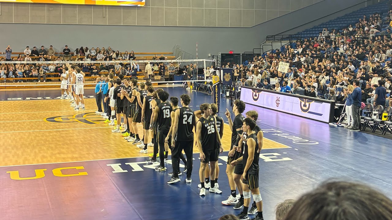 UCI vs LBSU 3/29/2025 Hitting Lines