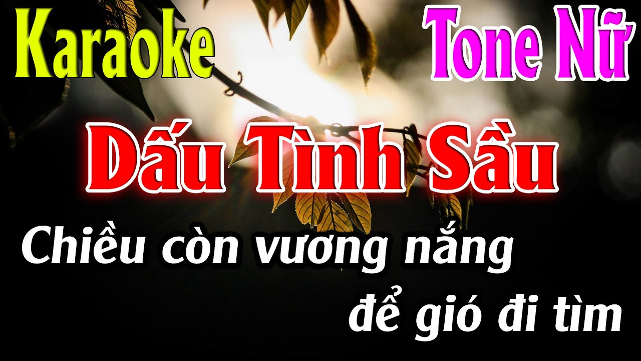 Dấu Tình Sầu Karaoke Tone Nữ ( Dm ) Karaoke Lâm Organ - Beat Mới