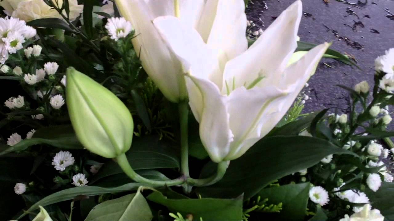 CORK FLORISTS - April Florist Cork - FLORIST CORK - Flowers Special Occasions Cork