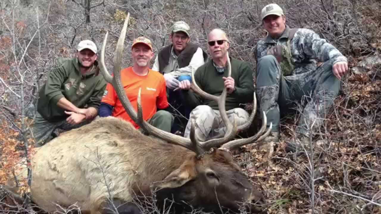 Pahvant 2015 1130 yard elk