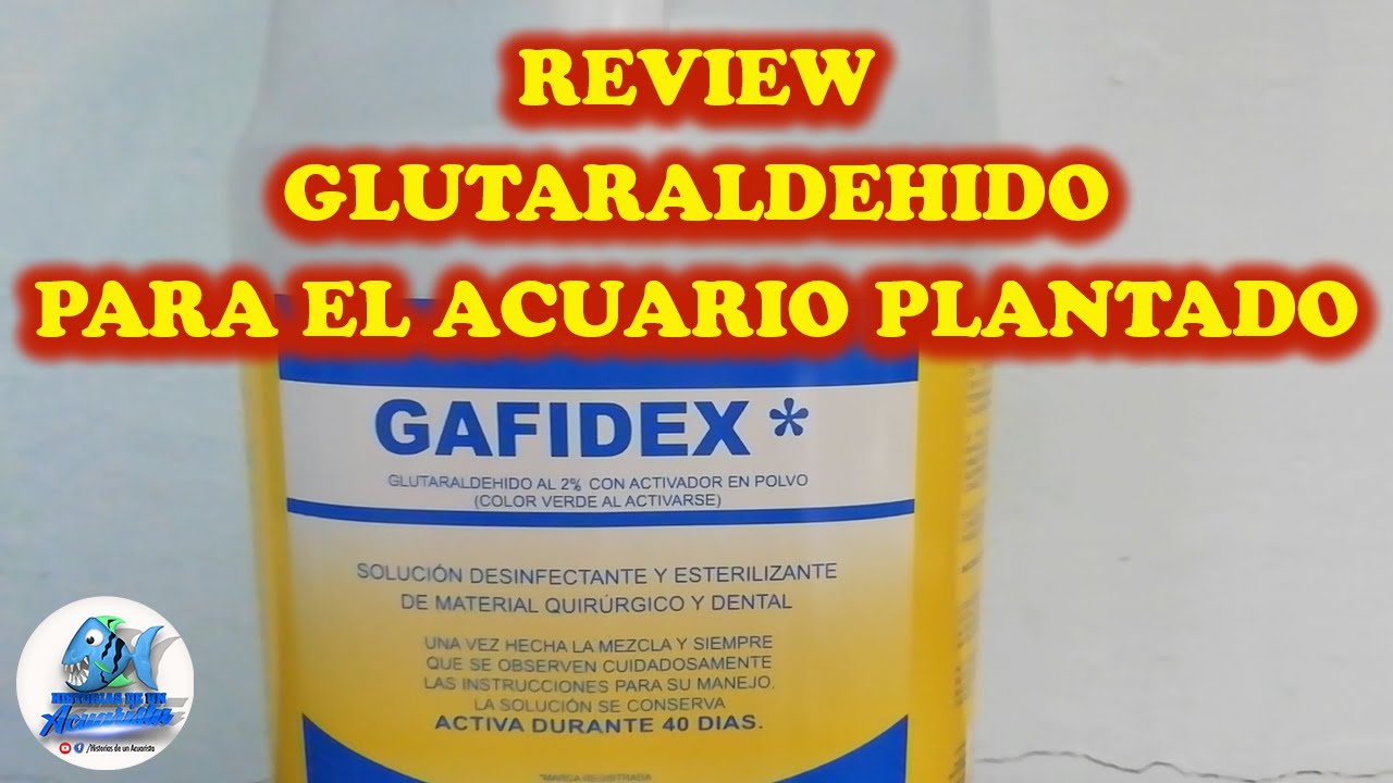 REVIEW GLUTARALDEHIDO PARA EL ACUARIO PLANTADO (eficaz antialgas y co2)