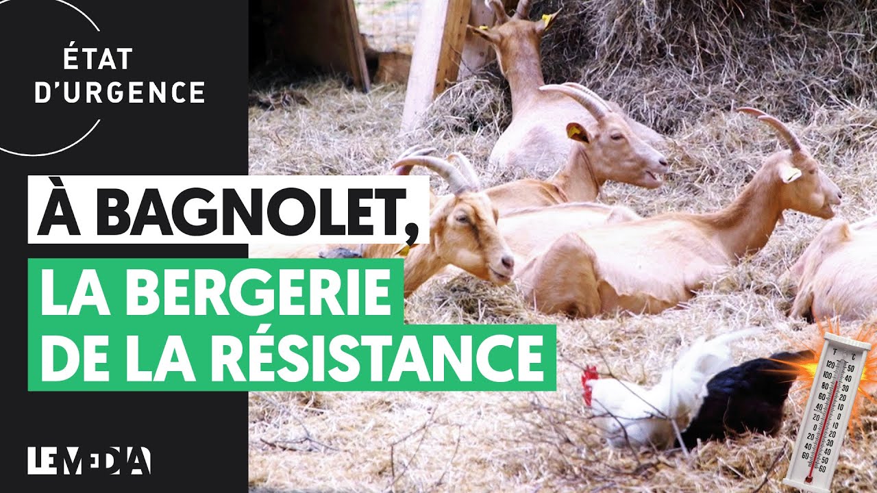 À BAGNOLET, LA BERGERIE DE LA RÉSISTANCE