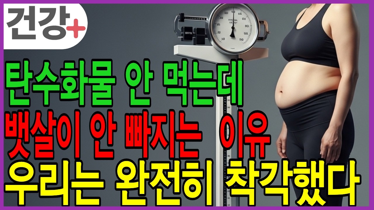 탄수화물 끊고 다이어트 하는데 왜 찔까? 중년 복부비만의 숨겨진 원인 공개