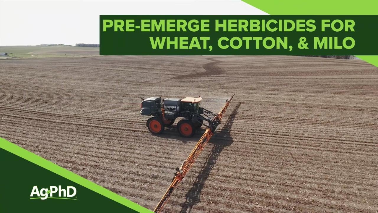 Pre-Emerge Herbicides For Wheat-Cotton-Milo (From Ag PhD #1091 - Air Date 3-3-19)
