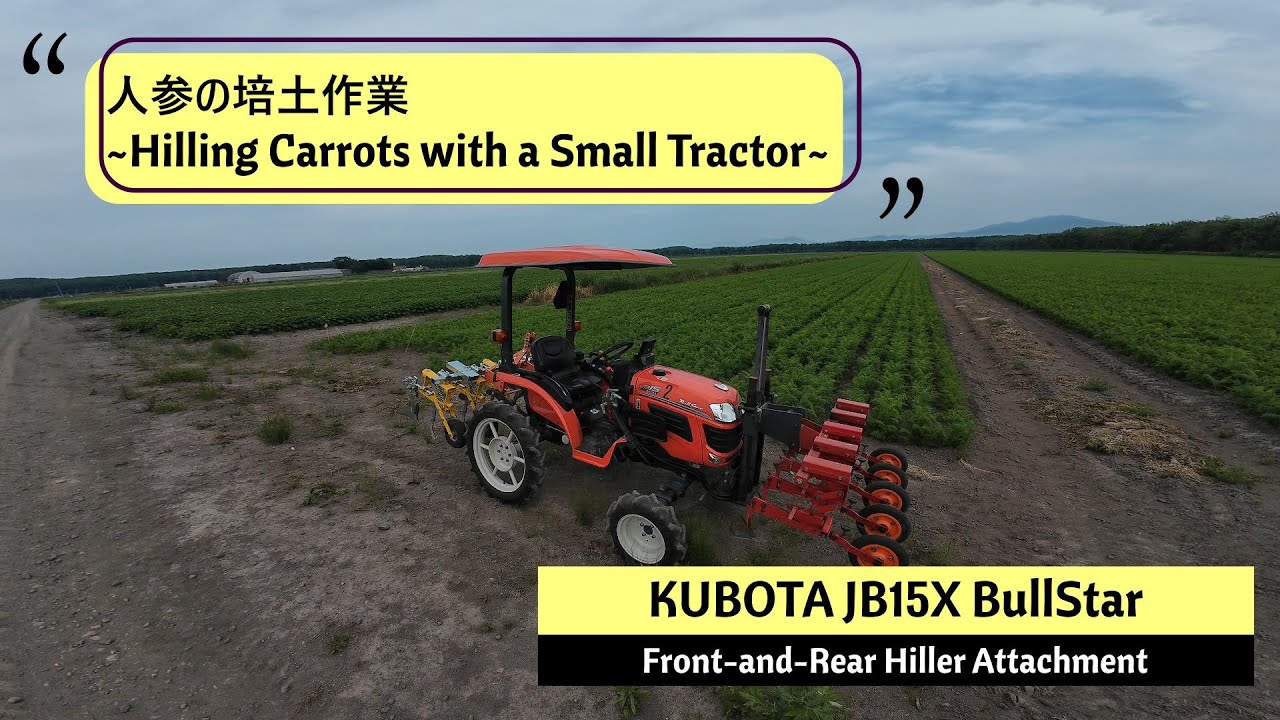 【CabView】Hilling Carrots with a Small Tractor | KUBOTA JB15X Bullstar + Hiller Attachment【4K】