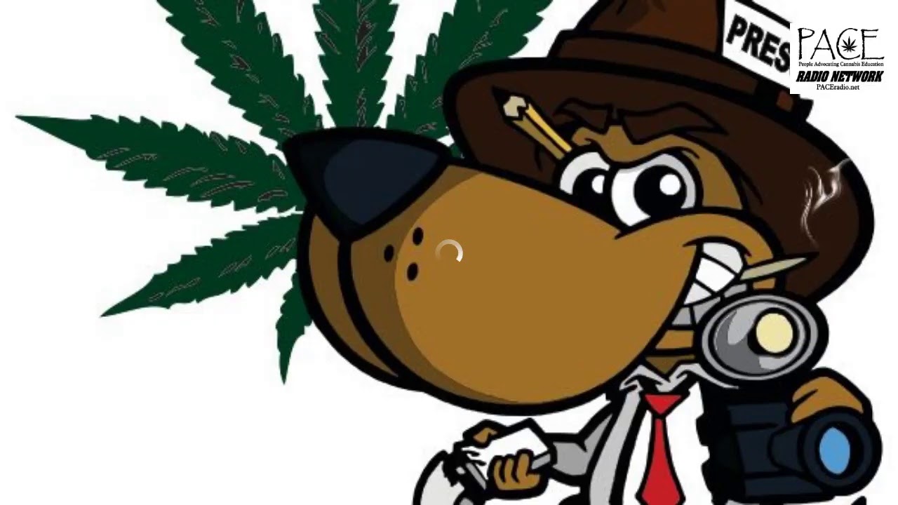 Reefer Reporters News Update 1013
