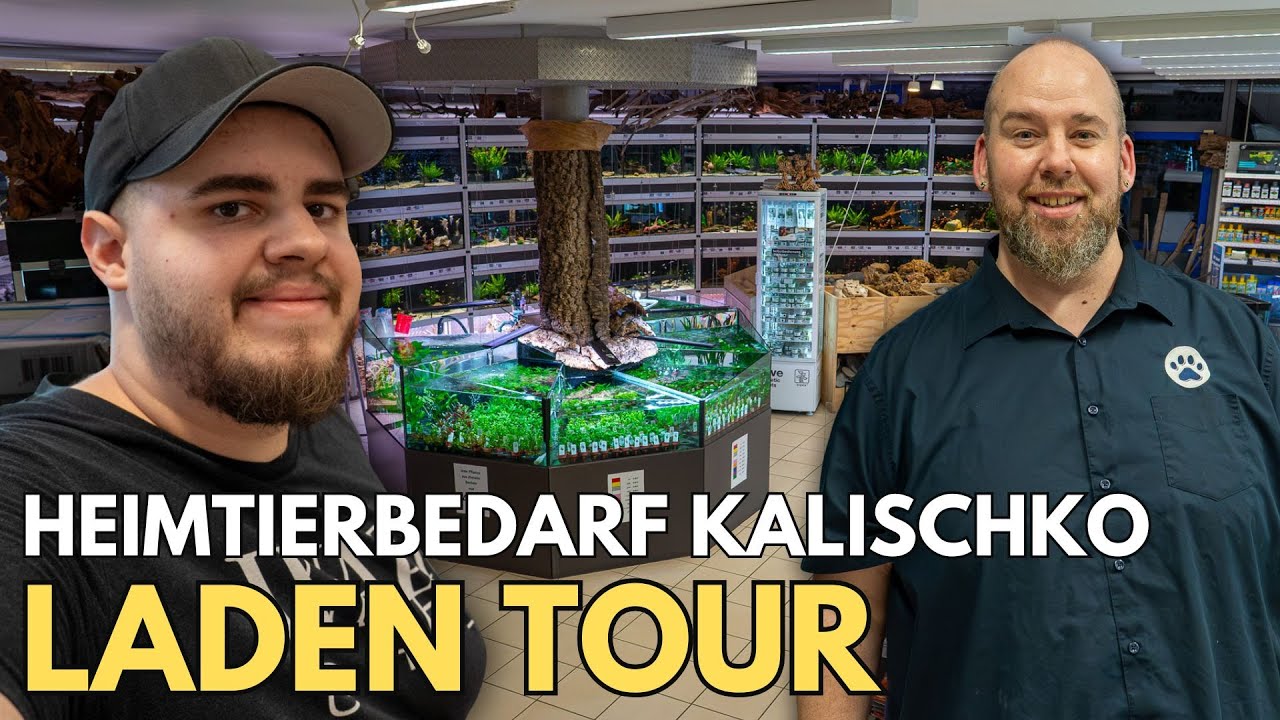 Besondere Fische & Ladentour bei Heimtierbedarf Kalischko