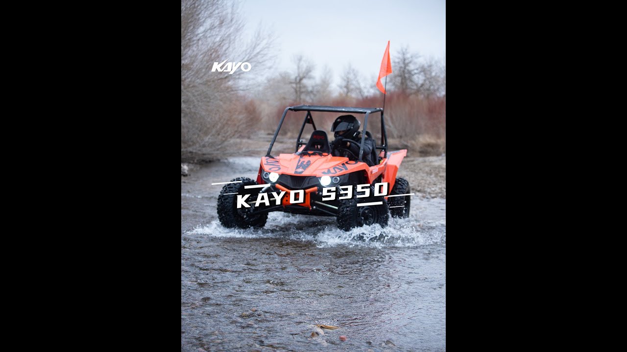 KAYO SSV - S350