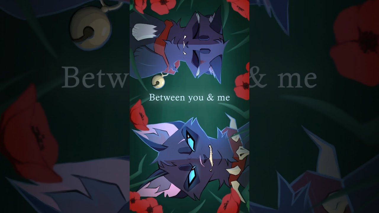For the Last Time | Warrior Cats #forthelasttime #animationmeme #warriorcats #trend #art #furry