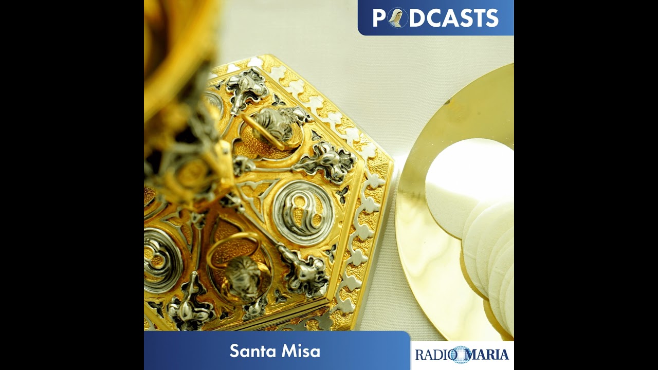 Santa Misa vespertina 09/02/26