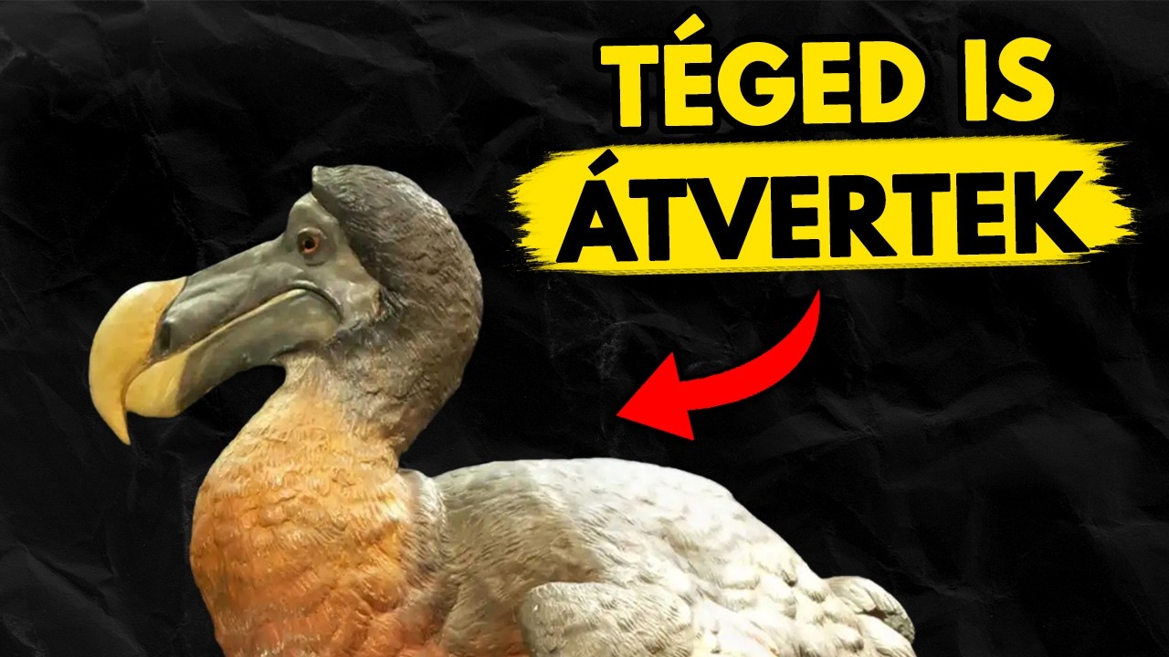 A Dodók 400 Éves Hazugsága