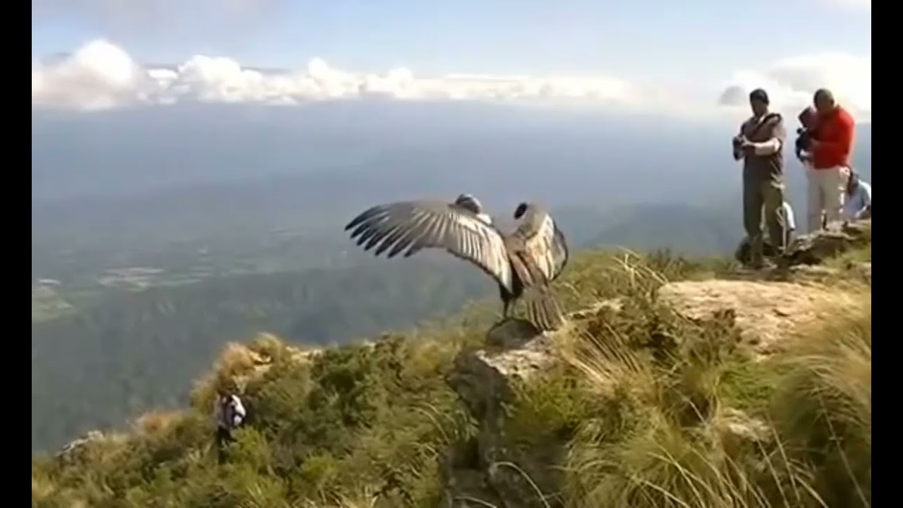 jadayu in Kerala