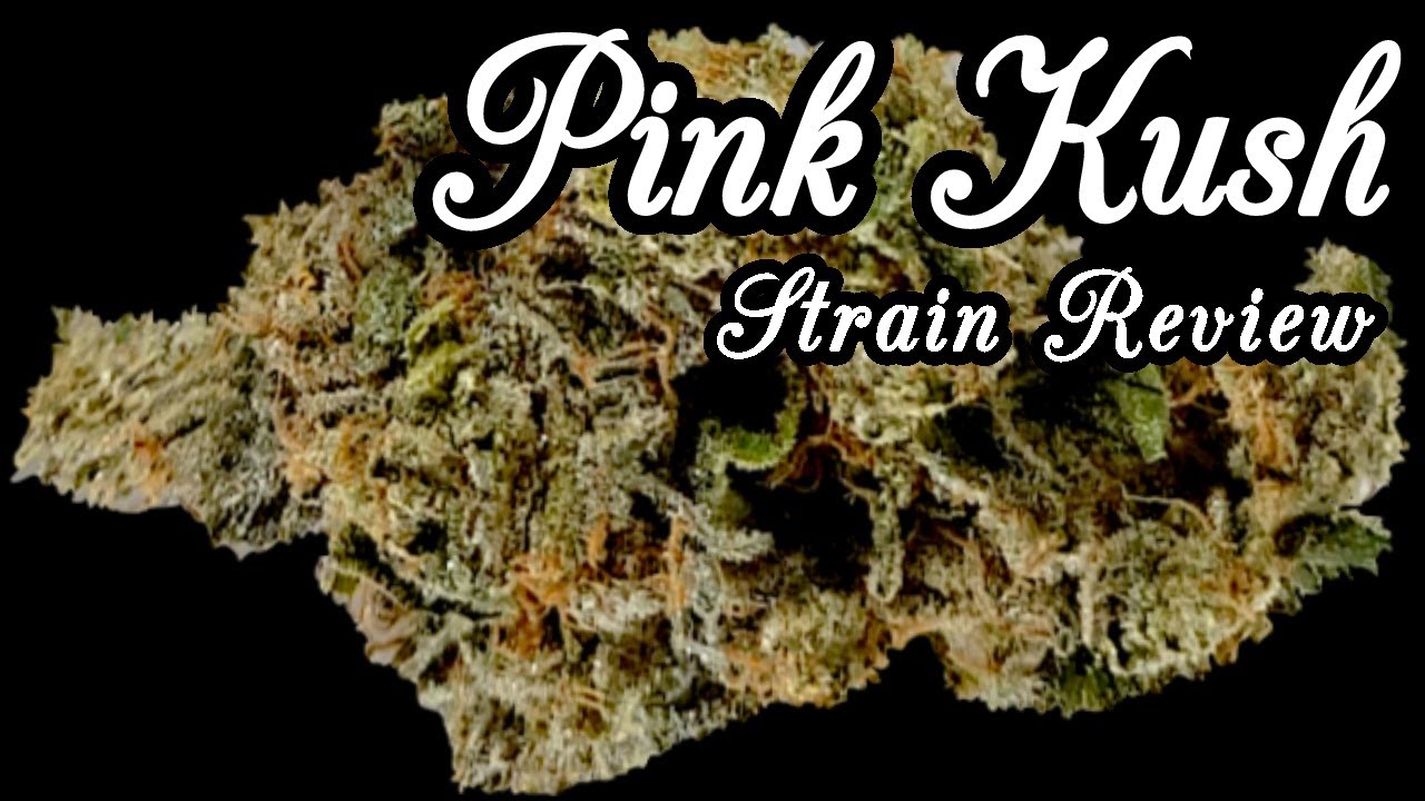 Strain Review - Pink Kush