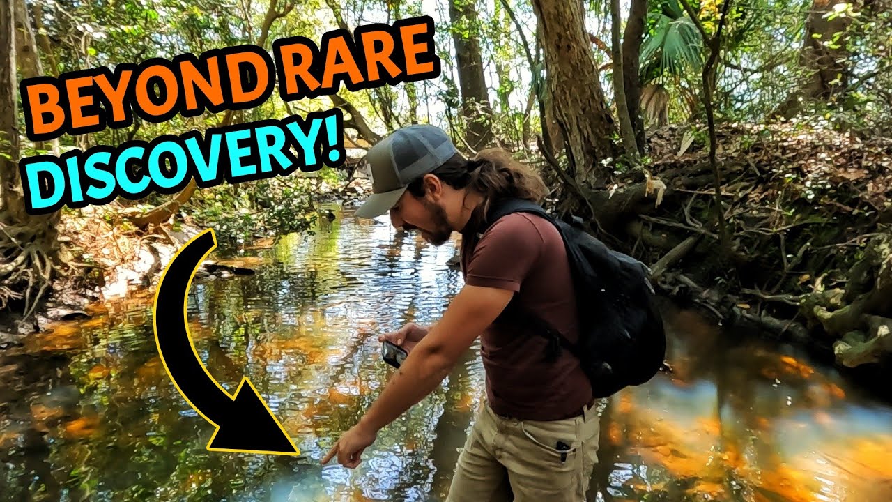 We Found Yet ANOTHER Amazing Piece of History in our Favorite Creek! Mudlarking in Georgia